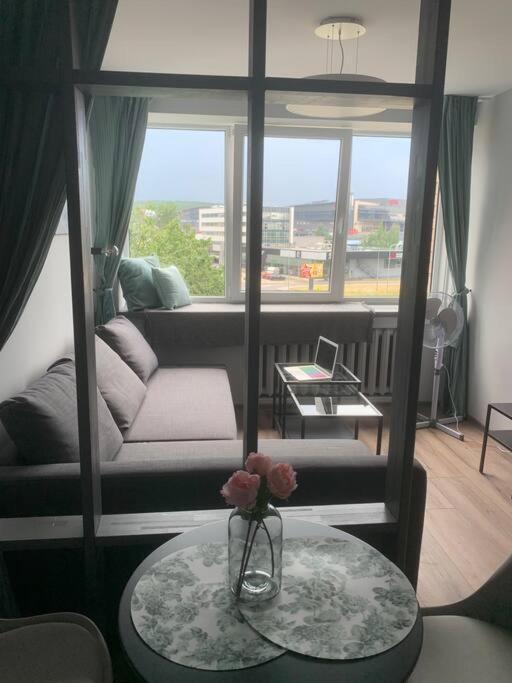 Apartment Near Ozas VNO Exteriér fotografie